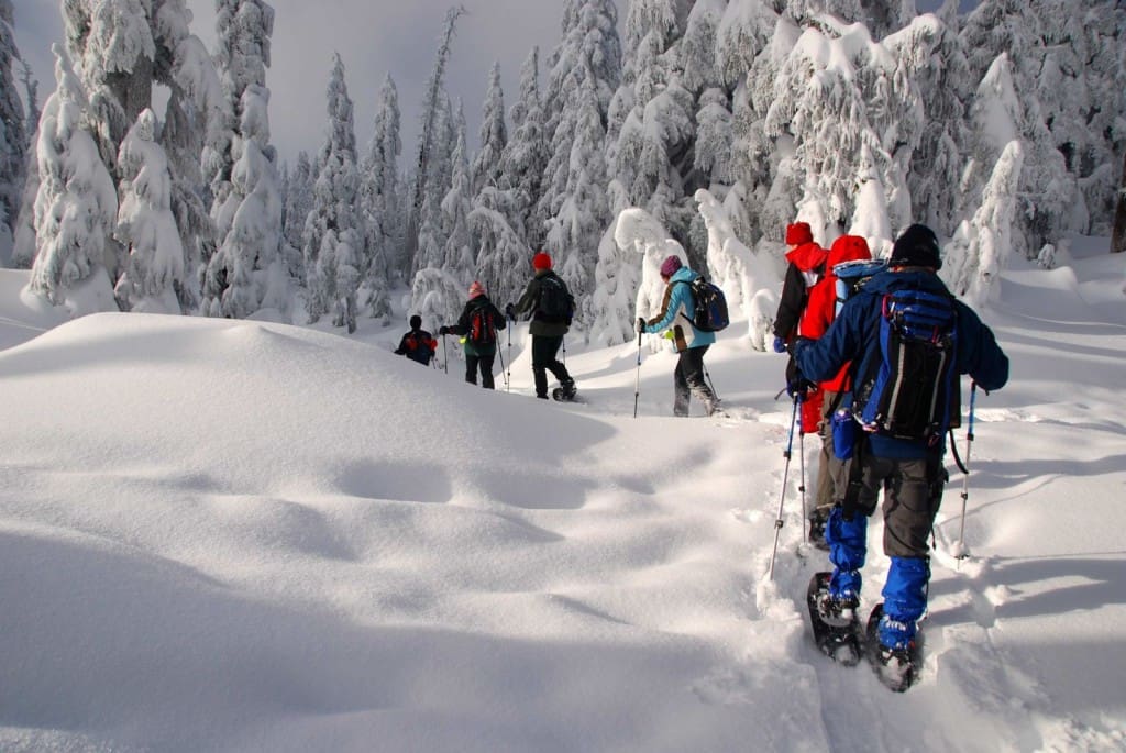 People walking in snowshoes