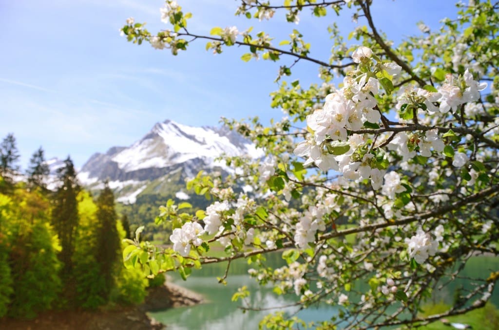 Spring in Switzerland