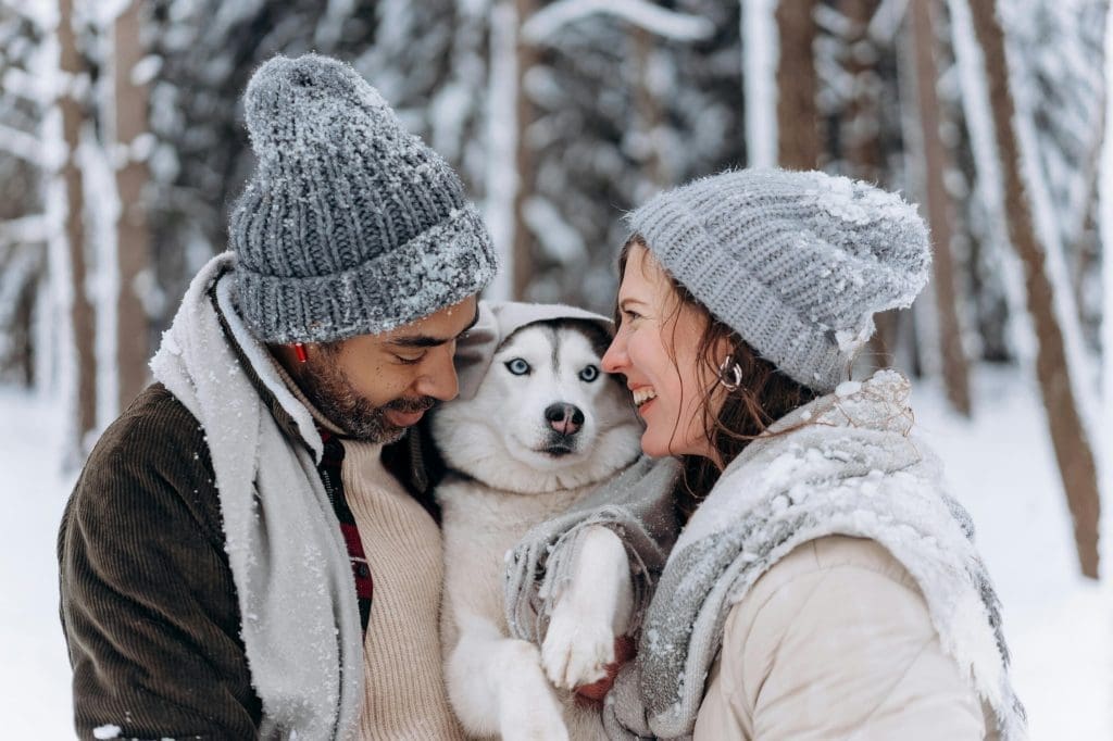 Husky dog with owners on a ski holiday