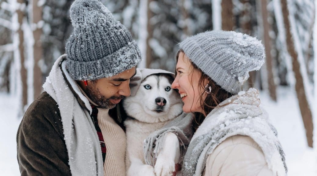 Husky dog with owners on a ski holiday