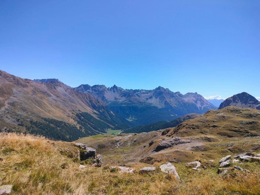 View of the Alps on a summer's day