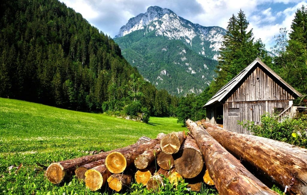 Summer in the Alps