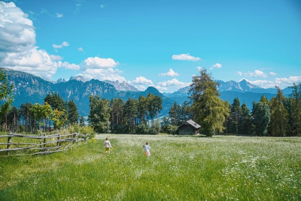 Children playing in the fields in the Alps during summer