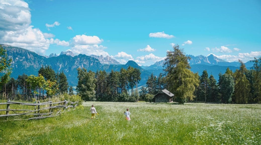 Children playing in the fields in the Alps during summer